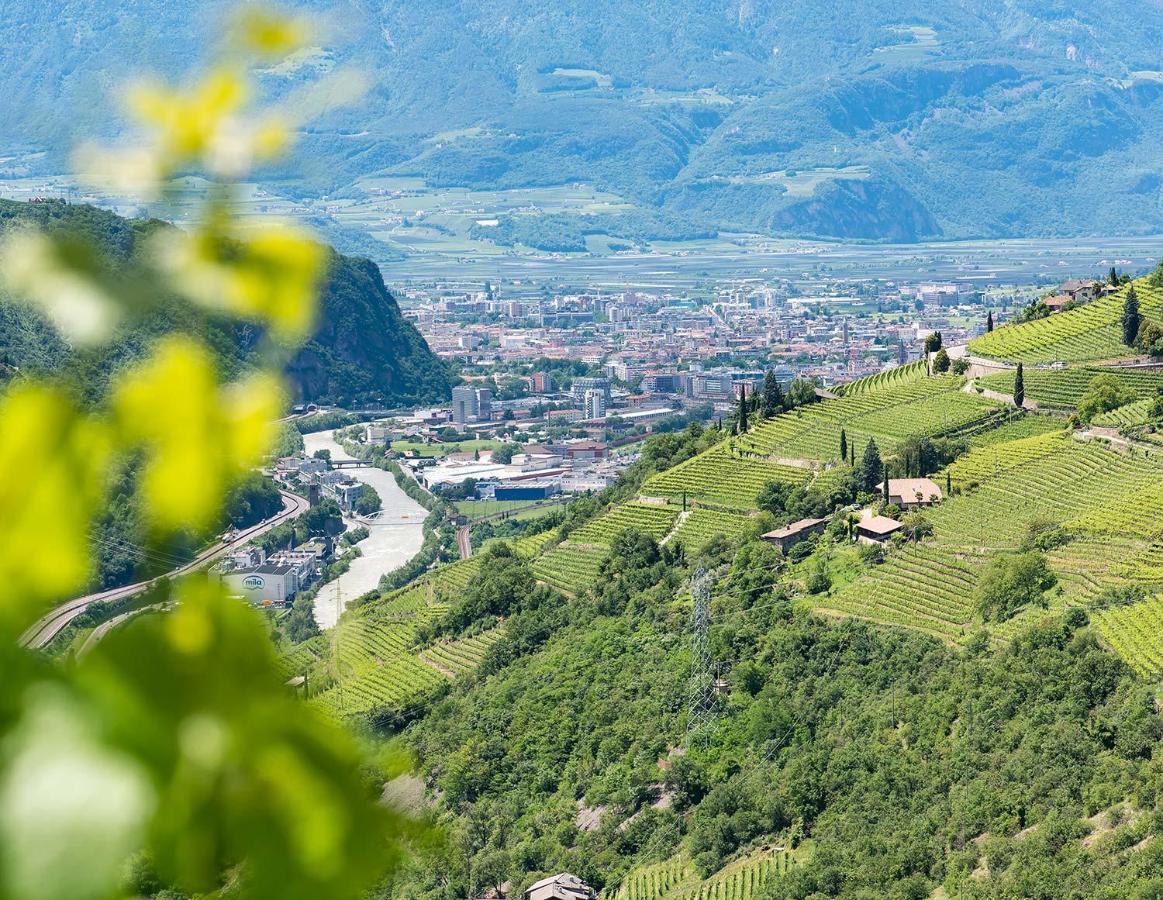 Weingut Schmid Oberrautner Apartment Suites Bolzano Exteriér fotografie